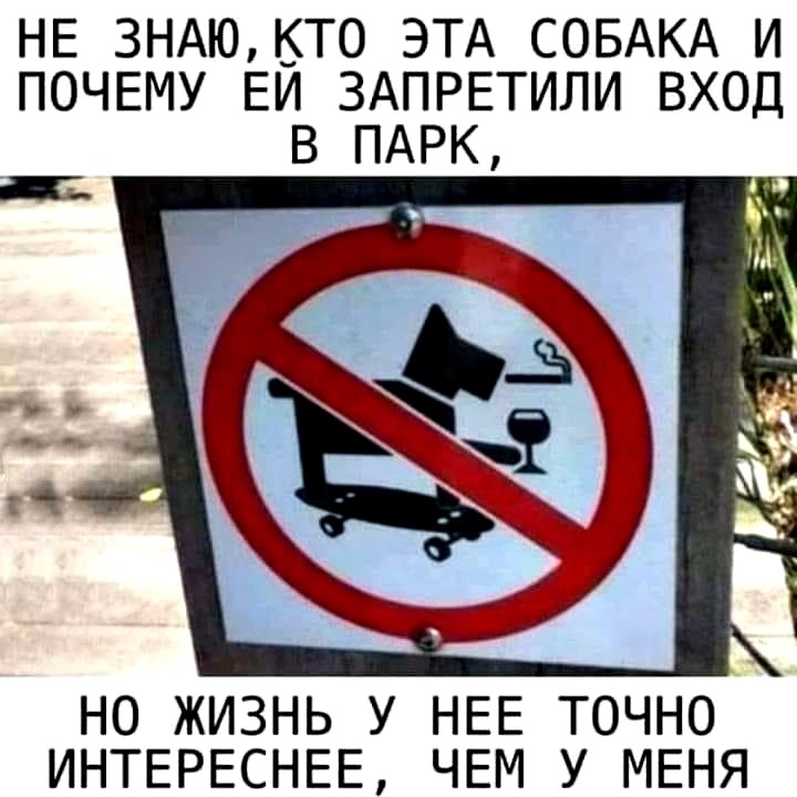 НЕ ЗНАЮБТО ЭТА СОБАКА И ПОЧЕМУ ЕИ ЗАПРЕТИЛИ ВХОД В ПАРК НО ЖИЗНЬ У НЕЕ ТОЧНО ИНТЕРЕСНЕЕ ЧЕМ У МЕНЯ