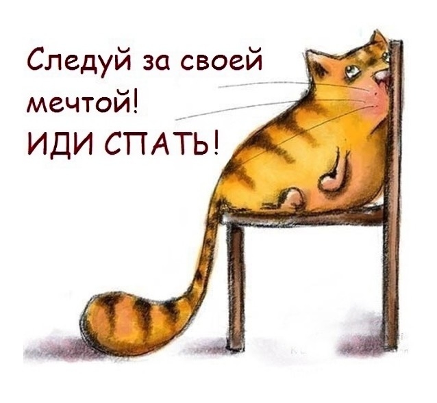 Следуй за своей мечтой _ ИДИ СПАТЬ