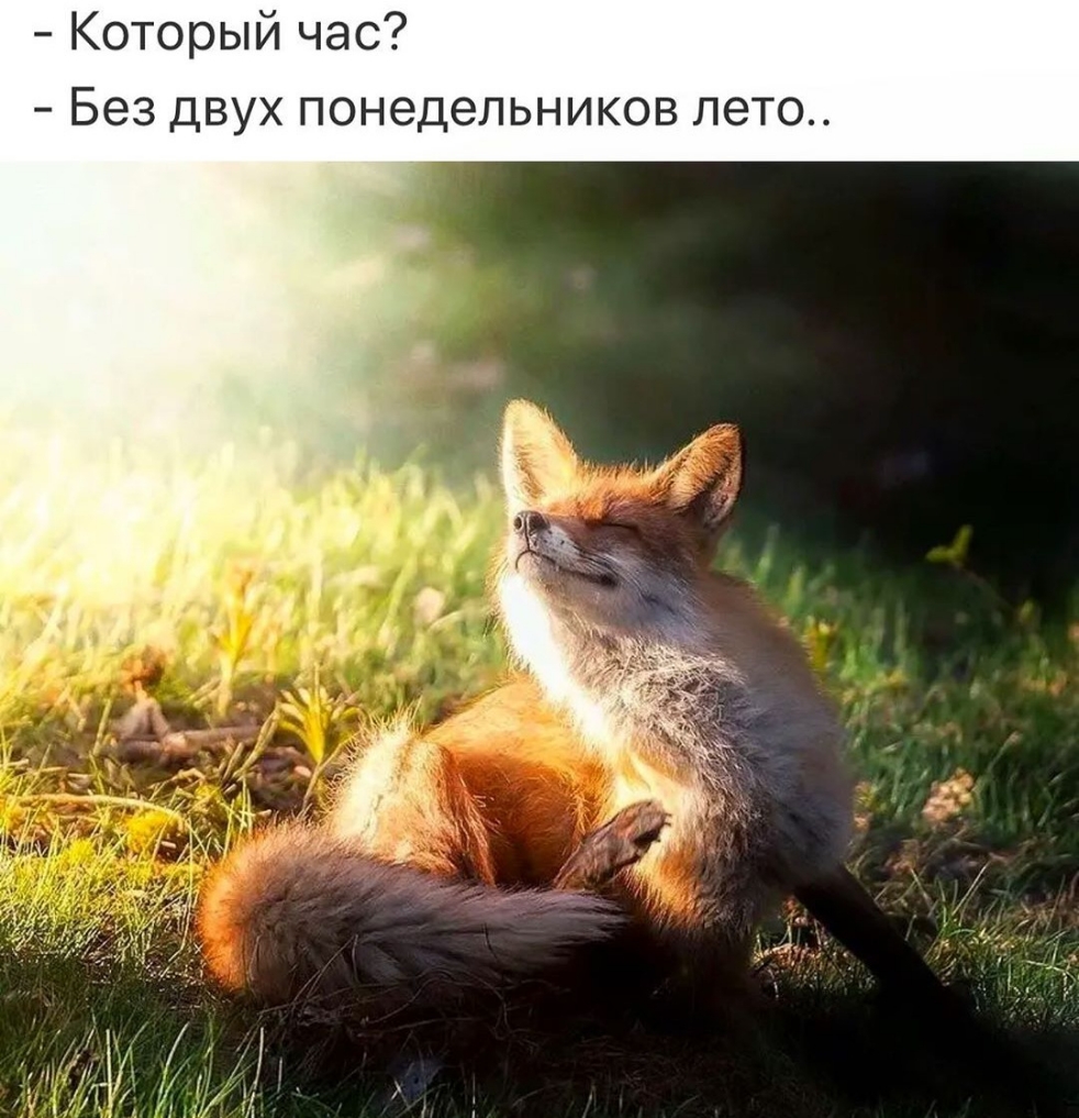 Который час Без двух понедельников лето