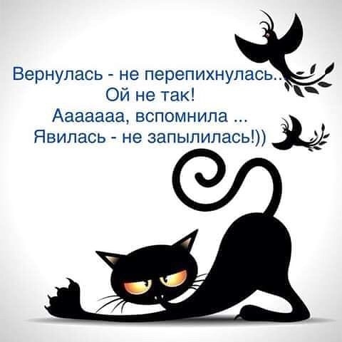 Вернулась не перепихнупась Ои не так Ааааааа вспомнила Явилась не запыпипась
