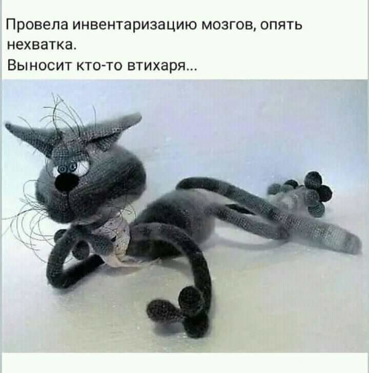 Провела инвентаризацию мозгов опять нехватка Выносит кто то втихаря Ё
