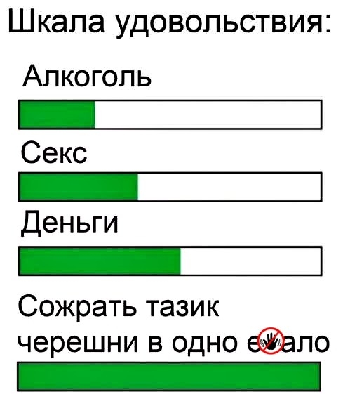 Шкала удовольствия Алкоголь Ши Секс Ш Деньги Е Сожрать тазик черешни в одно еало