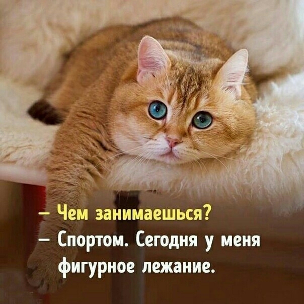 занимаешься Спортом Сегодня у меня фигурное пежаиие