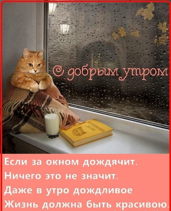 цЁЁэобрюшиутром