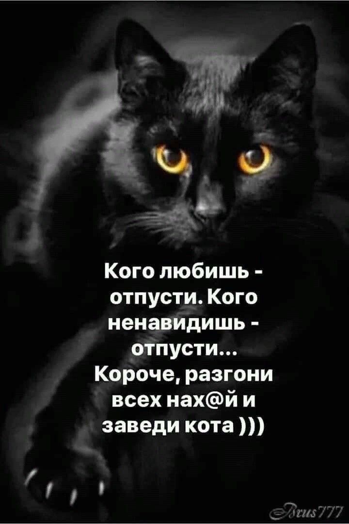 Ч Кого любишь отпусти Кого ненавидишь оіпусти Короче разгони всех нахй и заведи кота дгшТЁЁ