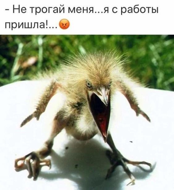 Не трогай меняя с работы пришла