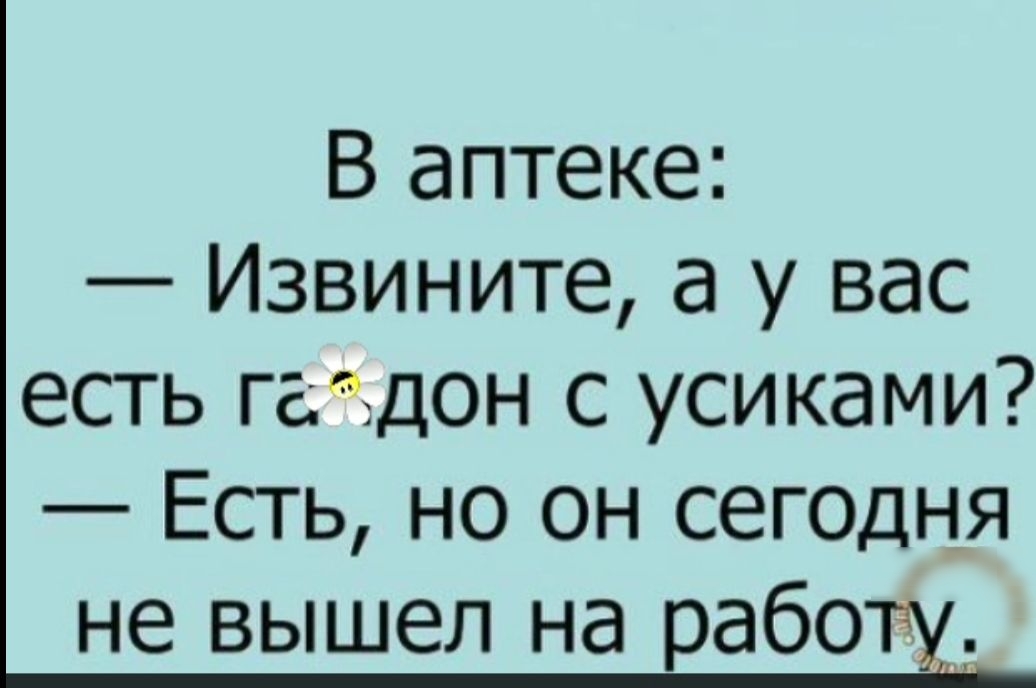 В аптеке Извините а у вас есть гатдон с усиками Есть но он сегодня не вышел на рабо