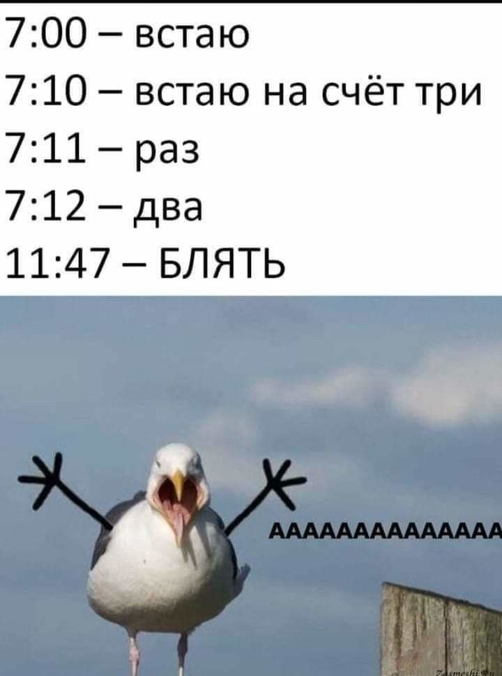 700 встаю 710 встаю на счёт три 711 раз 712 два 1147 БЛЯТЬ