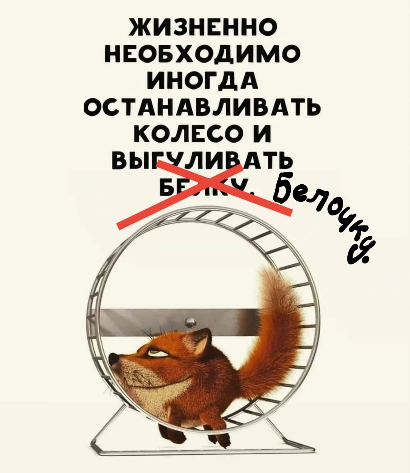 ЖИЗНЕННО НЕОБХОДИМО ИНОГДА ОСТАНАВЛИВАТЬ КОЛЕСО Игь