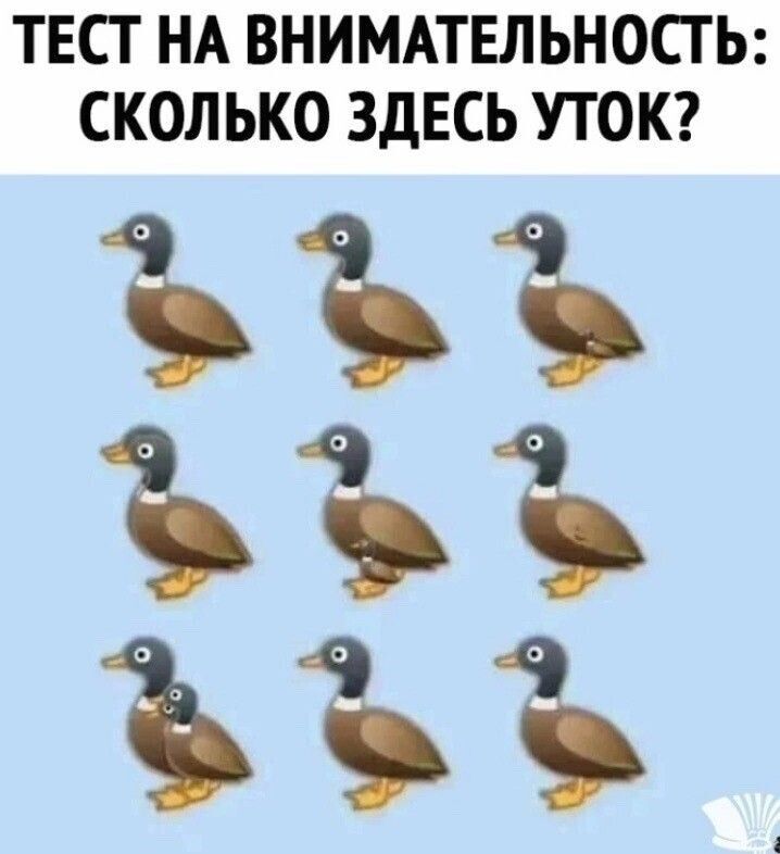 ТЕСТ НА ВНИМАТЕЛЬНОСТЬ СКОЛЬКО ЗДЕСЬ УТОК 333 333 33