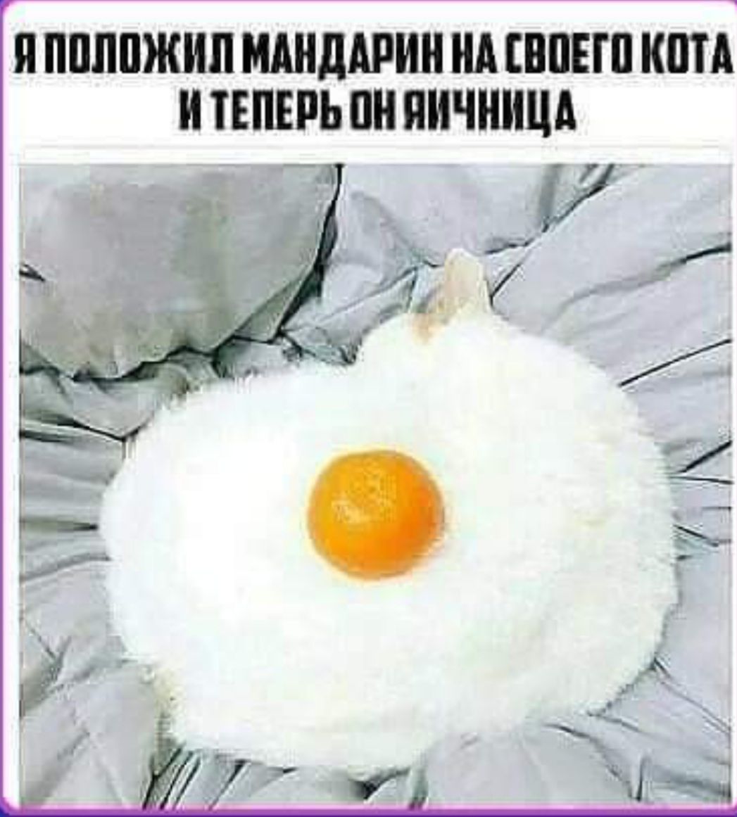П ППППЖИП ИШДМИН А ШЕП КШ