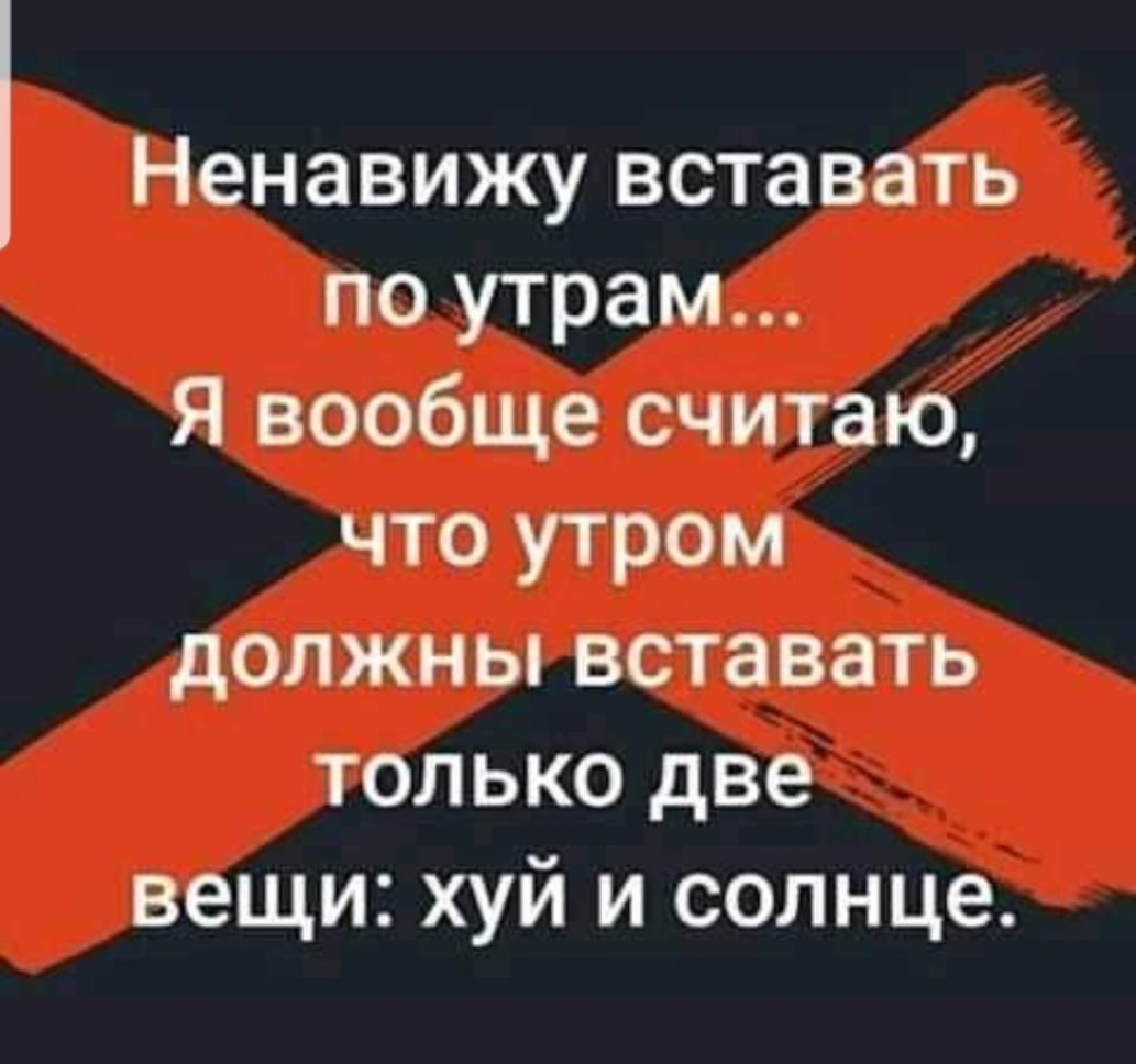 Ненавижу вставать по утрам Я вообще считаю что утром должны вставать только две вещи хуй и солнце
