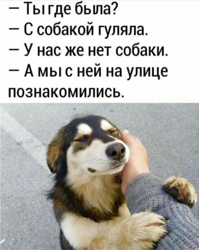 Ты где была С собакой гуляла У нас же нет собаки А мыс ней на улице познакомились