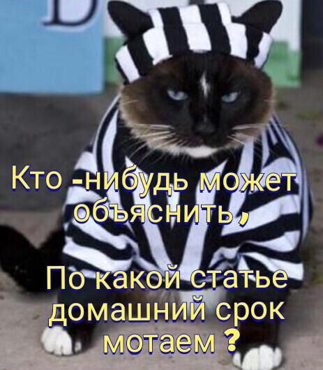 чтил Кто ЁЁ гай домаш рок