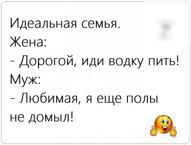 Идеальная семья Кена Дорогой иди водку пить Муж Любимая я еще полы не домыл