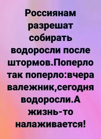 Россиянам разрешат собирать водоросли после штормовлоперло так поперловчера валежииксегодня водорослиА жизнь то ь налаживается