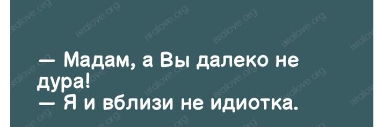 Мадам а Вы далеко не дура Я и вблизи не идиотка