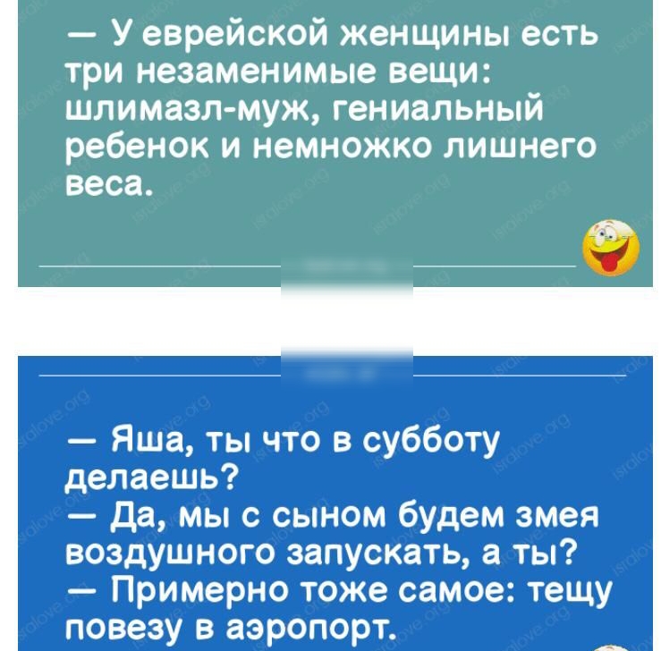 У еврейской женщины есть три незаменимые вещи шлимазл муж гениальный ребенок и немножко лишнего веса Яша ты что в субботу делаешь да мы с сыном будем змея воздушного запускать а ты Примерно тоже самое тещу повезу в аэропорт