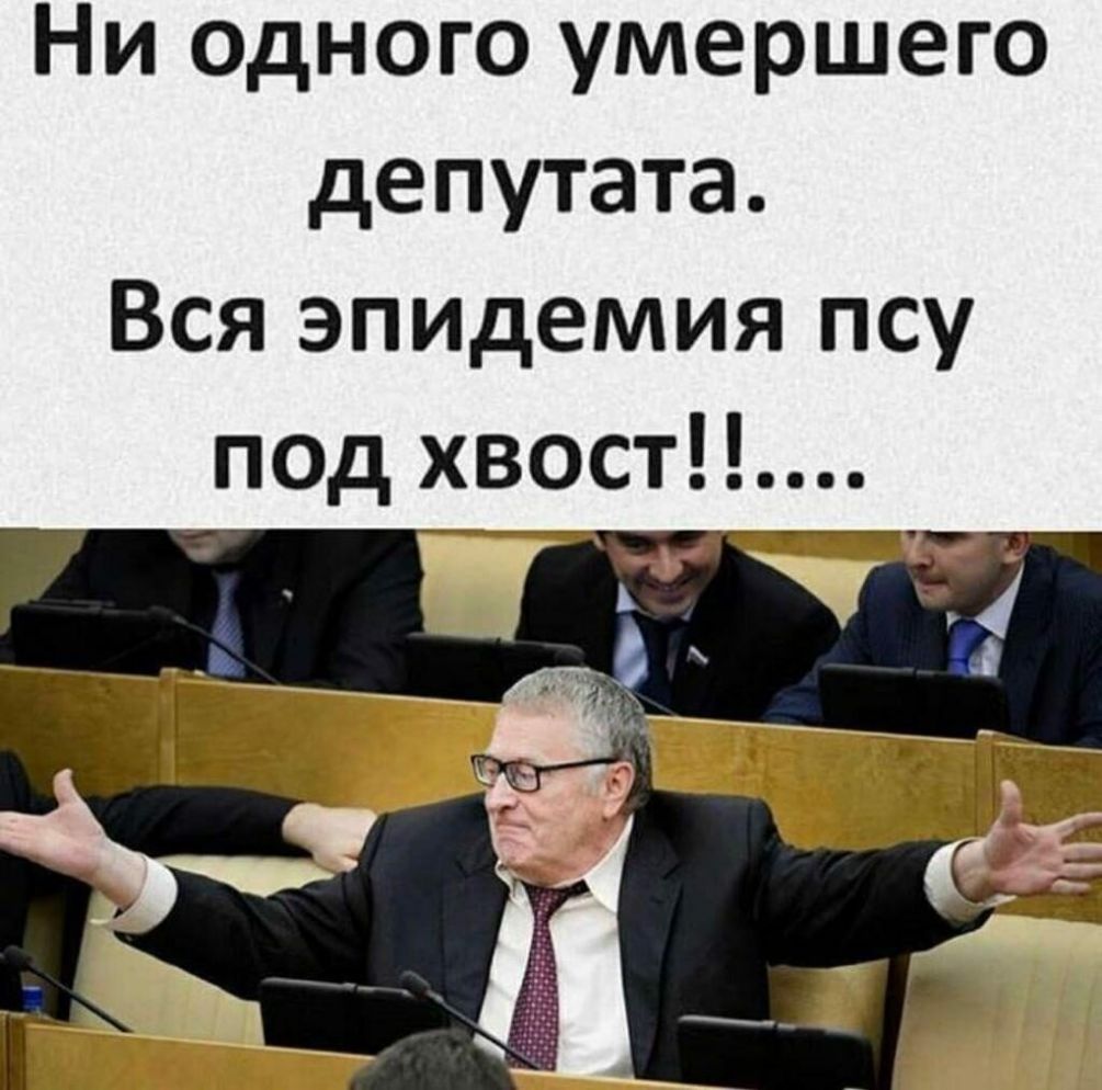 Ни одного умершего депутата Вся эпидемия псу под хвост