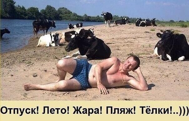 бгпуск Лето Жара Пляж Тёпки