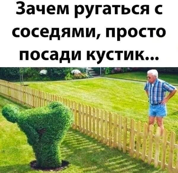 Зачем ругаться с соседями просто посади кустик