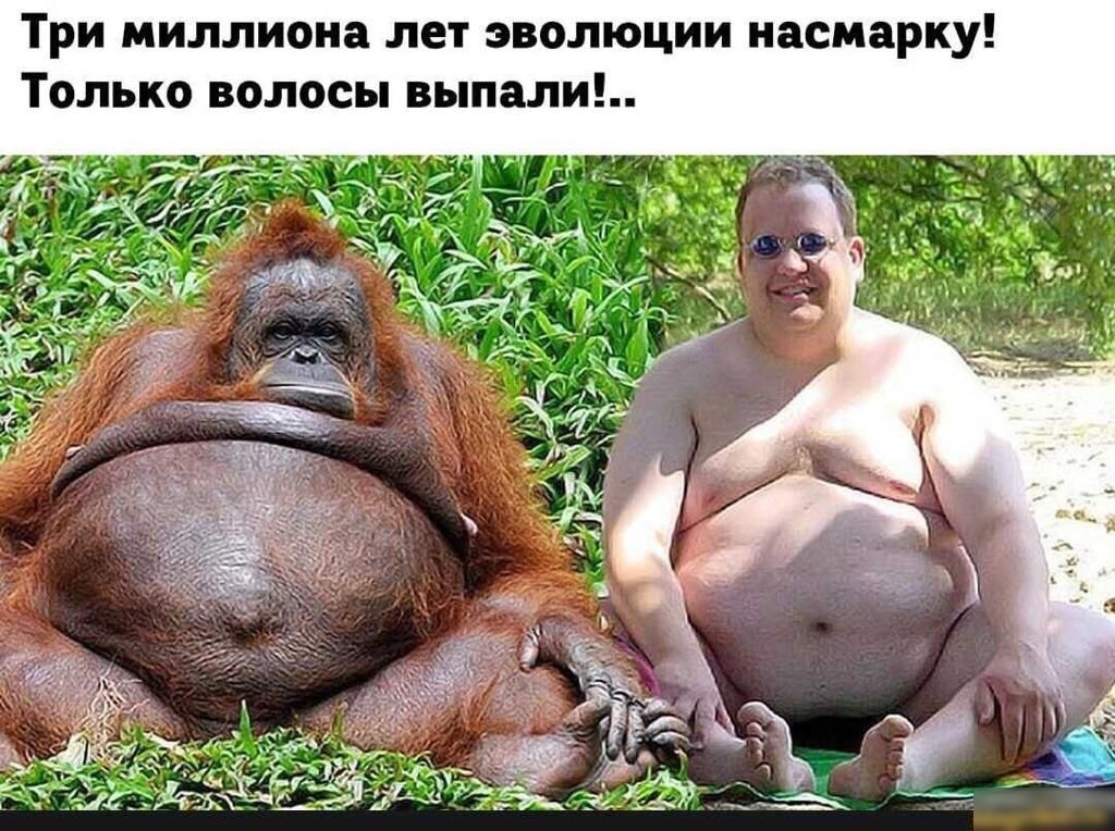 У к Р М с а н и и Ц ю л о в 3 Т е л а н о и л л и М и Р _ л а п ы в ы с о л о в о к ь л о _