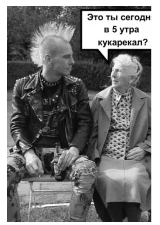Это ты сегодн в 5 утра кукарекал