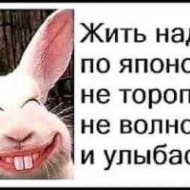 ЧЖить на по японс А не тороп не волнс ТЗР и улыба