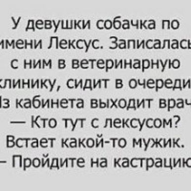 У девушки собачка по тени Лексус Записаласъ с ним в ветеринарную шинику сидит в очереди 3 кабинета выходит вран Кто тут с лексусом Всгает какой то мужик Пройдите на касграцик