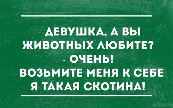 ДЕВУШКА А ВЫ ЖИВОТНЫХ АЮБИТЕ ОЧЕНЬ ВОЗЬМИТЕ МЕНЯ К СЕБЕ Я ТАКАЯ СКОТИ НА
