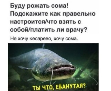 Буду рожать сома ПОДСКЗЖИТЕ как правельно мастроитсячто взять с собойплатить ли врачу Не хочу кесарево хочу сома ты что вынут