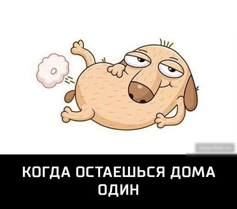 КОГДА ОСТАЕШЬСЯ ДОМА ОДИН
