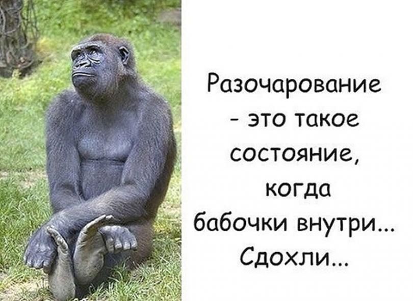 Разочарование это такое состояние когда бабочки внутри Сдохли