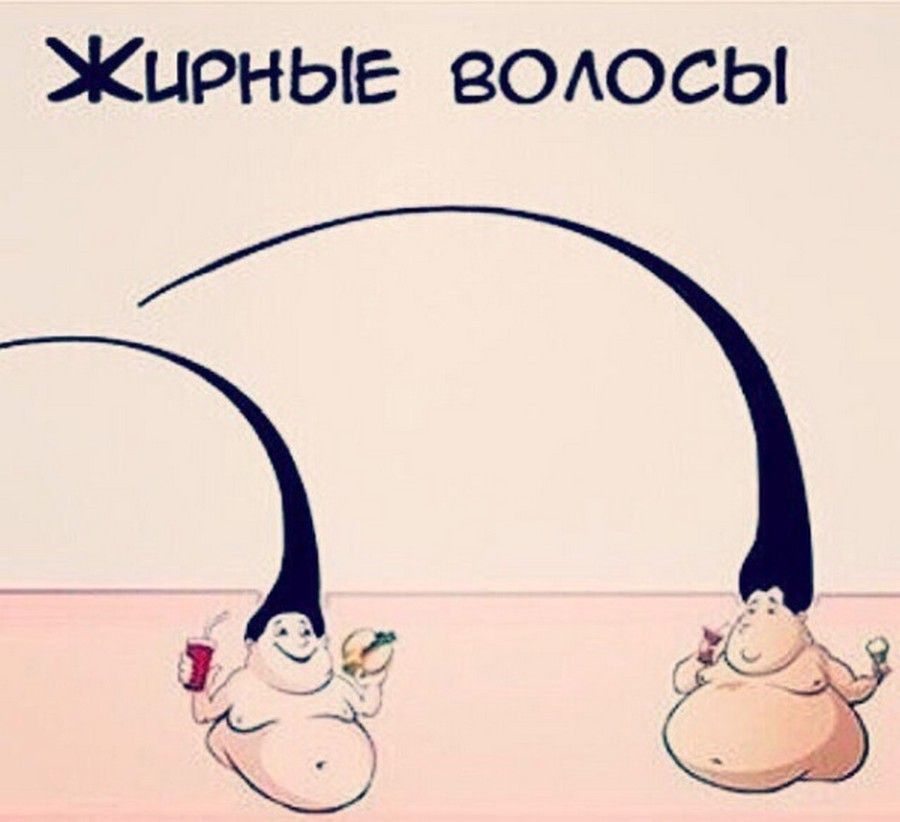 Жирные воюсы