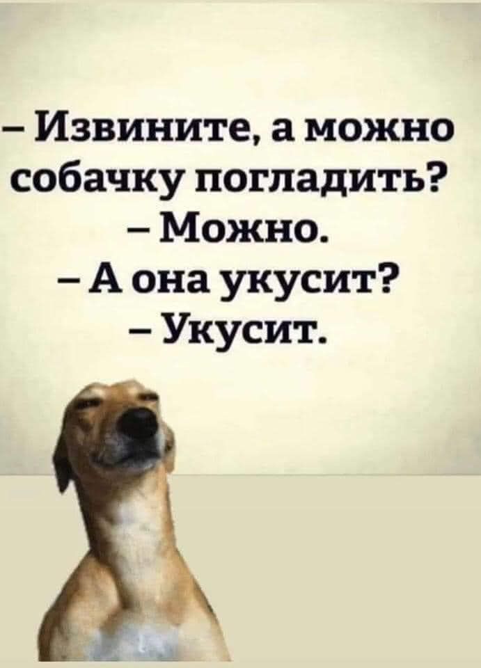 Извините а можно собачку погладить Можно А она укусит Укусит