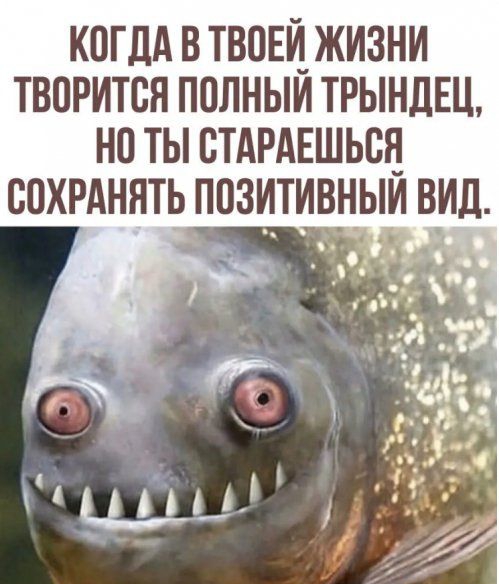 КОГДА В ТВОЕЙ_ ЖИЗНИ ТВПРИТСН ПОЛНЫИ ТРЫНЛЕЦ НО ТЫ ВТАРАЕШЬБЕ СОХРАНЯТЬ ППЗИТИВНЫИ ВИД д