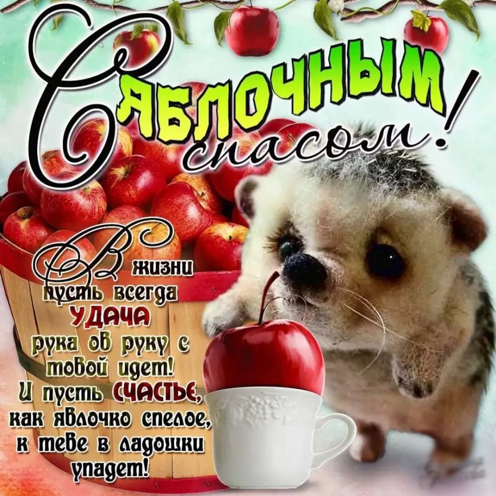 РУМ руку с 5911 цвет Ц ЦУСШЫШВЦЬЁЩ щ Янош ю сведет и ваяешцц дё 9к1ЁЧЁ9