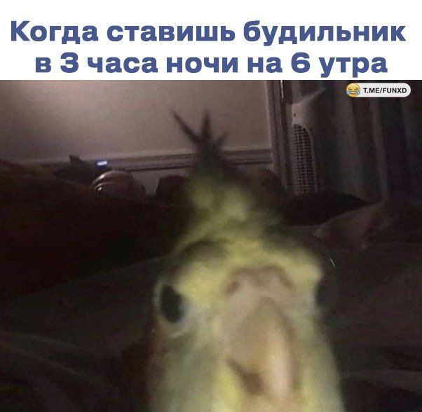 Когда ставишь будильник в 3 часа ночи на 6 утра