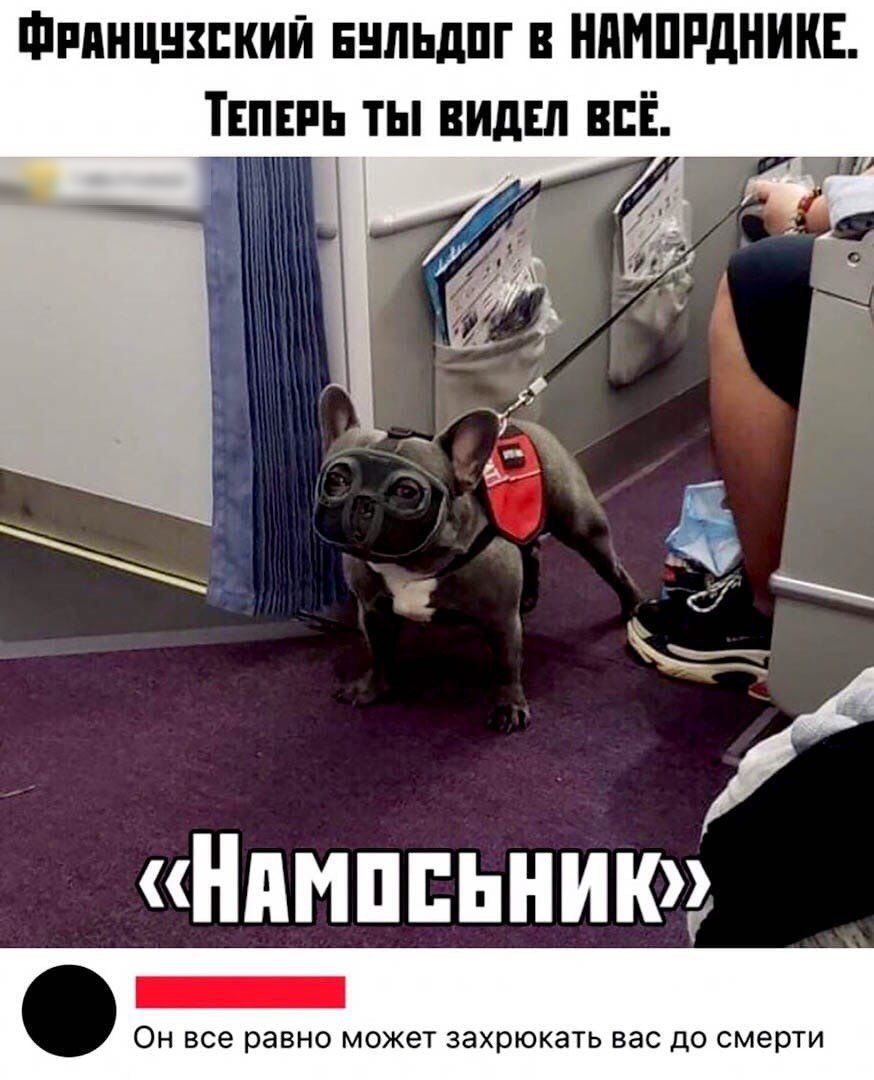 Фпднцшкии ннльдпг НАМПРДНИКЕ Типпь ты ницы ВЁ Нпмппьнию ОН все равно МОЖЭТ ЗЭХРЮКЗТЬ ВЭС ДО смерти