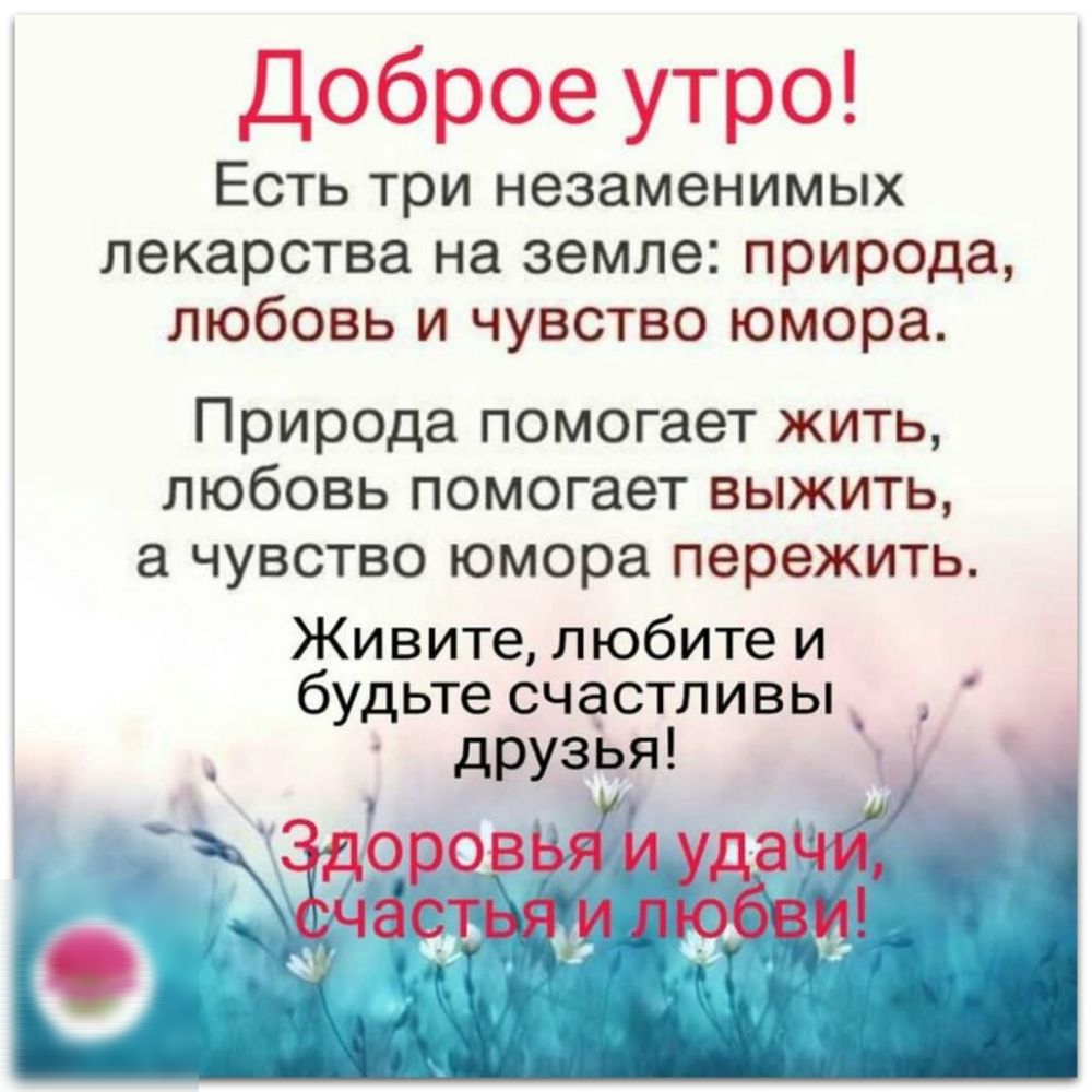 Доброе утро ЕСТЬ три незаменимых лекарства на земле природа любовь и чувство юмора Природа помогает жить любовь помогает выжить а чувство юмора пережить Живите любите и будьте счастливы друзья
