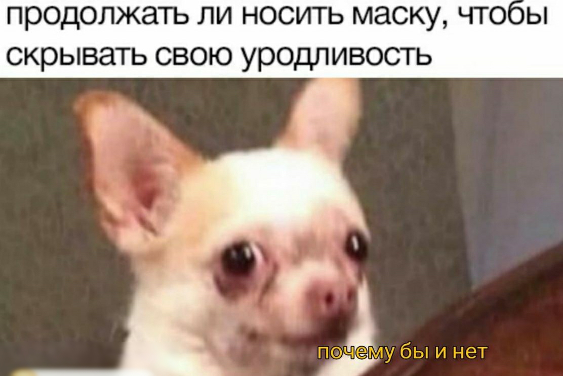 ПРОДОЛЖЭТЪ ЛИ НОСИТЬ МЭСКУ ЧТООЫ СКРЫВЭТЬ СВОЮ УРОДПИВОСТЬ