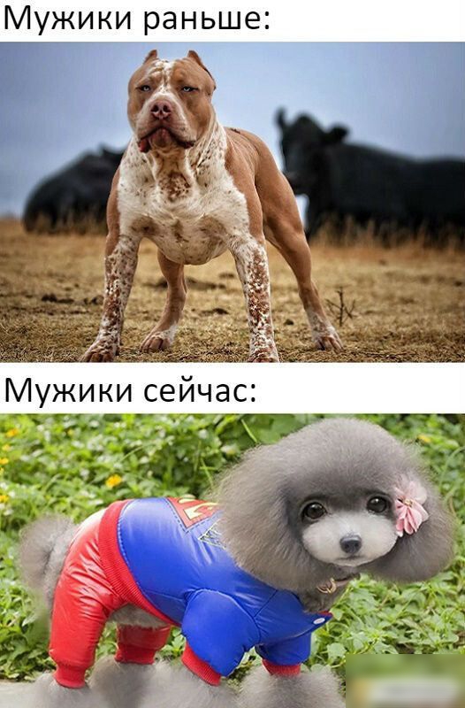 Мужики раньше