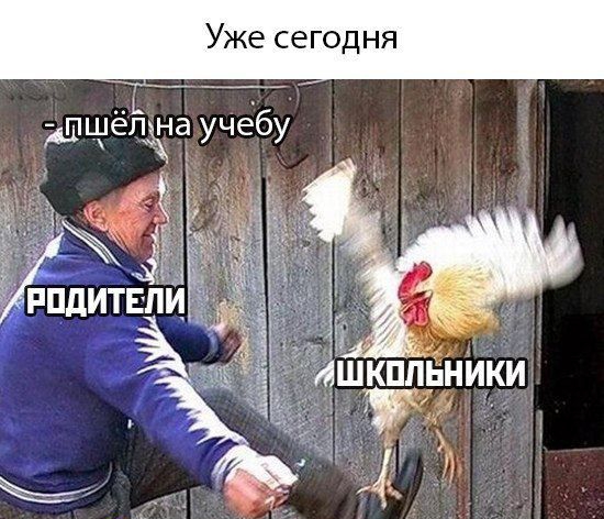Уже сегодня ищё Ета учёбу г і ЬпдитЕПи