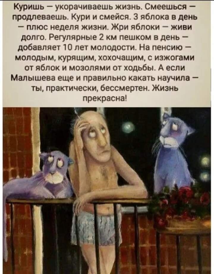 Куришь укорачиваешь жизнь Смеешься продлеваешь Кури и смейся 3 яблока в день плюс неделя жизни Жри яблоки живи долго Регулярные 2 км пешком в день добавляет 10 лет молодости На пенсию молодым курящим хохочащим с изжогами от яблок и мозолями от ходьбы А если Малышева еще и правильно какать научила ты практически бессмертен Жизнь прекрасна