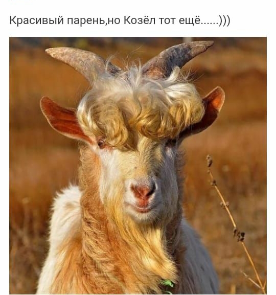 Красивый пареньмо Козёп тот ещё