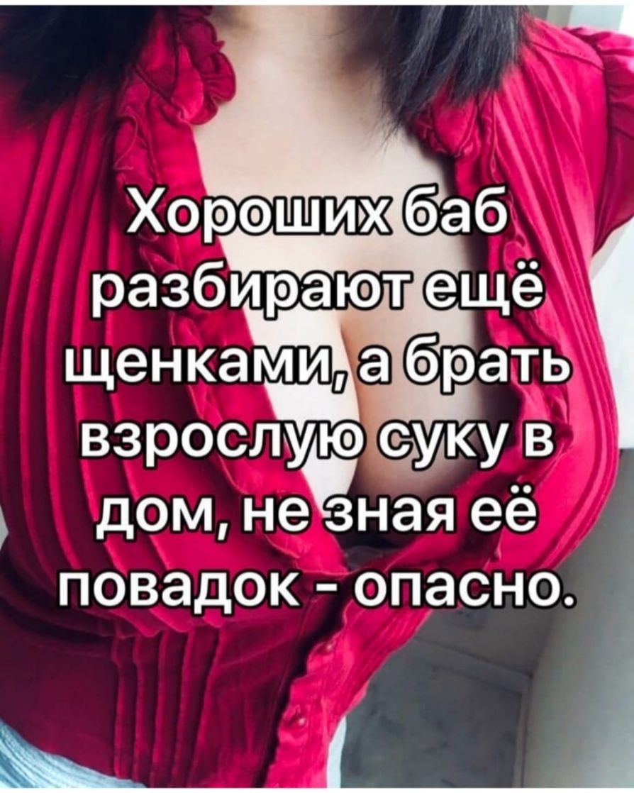 разбирают ещё щенками а братёі взрослую еджу в дом не зная ее повадок опасНо _ _