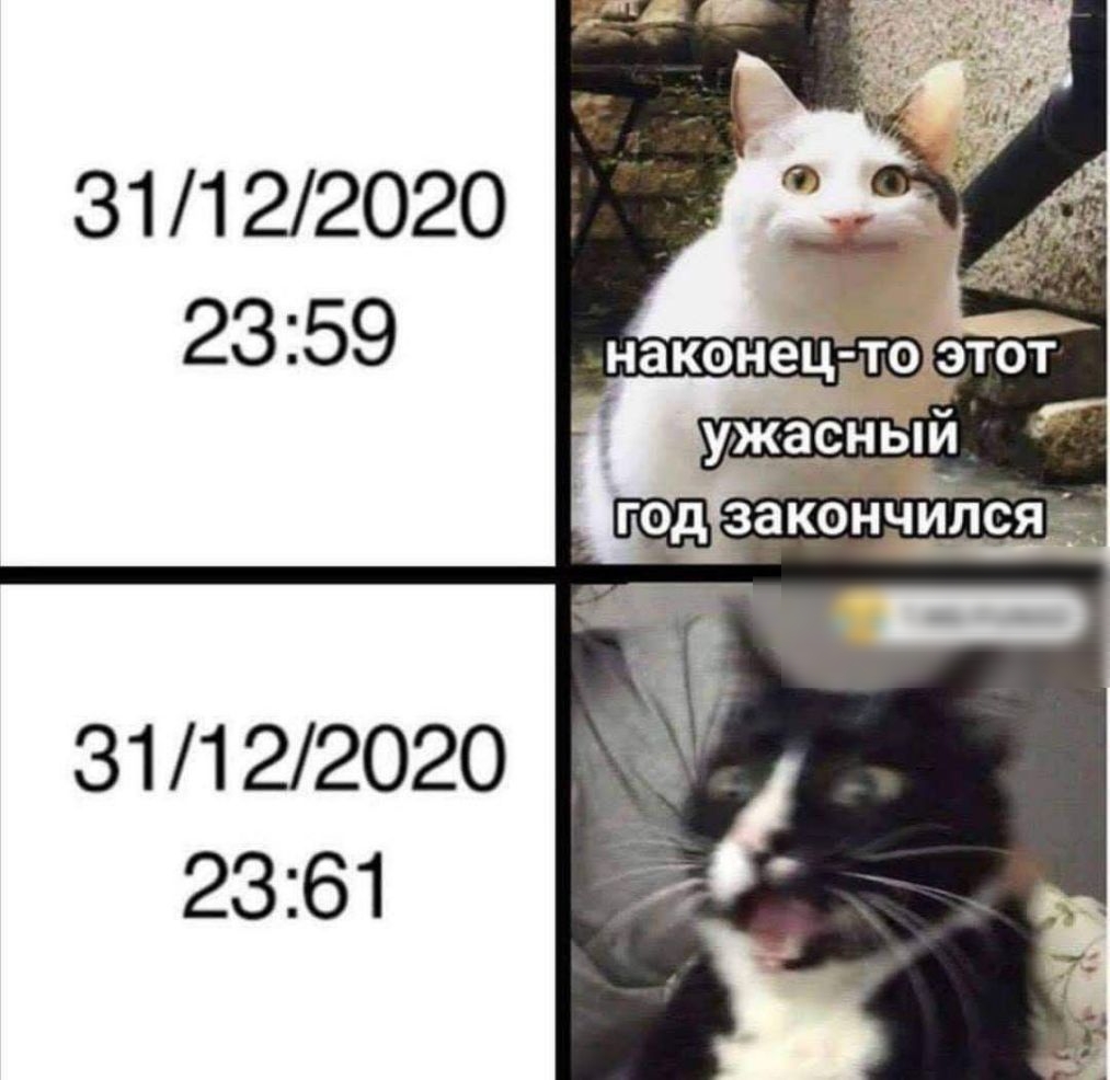 31122020 31122020 2361