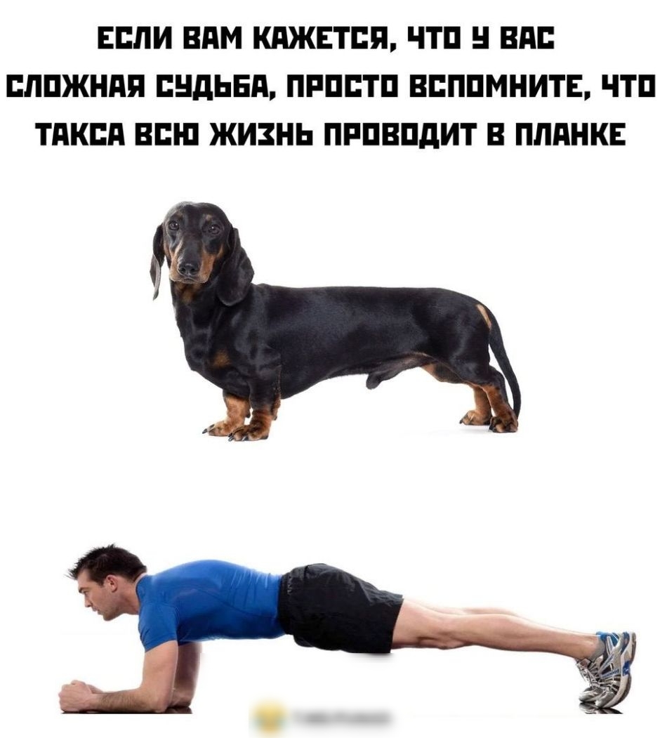 ЕСЛИ ВПМ КАЖЕТСЯ ЧТП ВПП ЕЛПЖНПП ЕНДЬЕП ПРПЕТП ВЕППМНИТЕ ЧТП ТАКСА ВПШ ЖИЗНЬ ПРПВПдИТ В ППдНКЕ