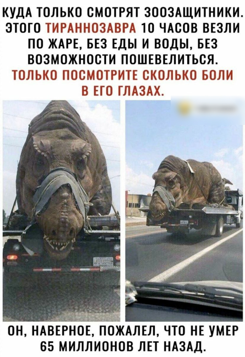 КУДА ТОЛЬКО СМОТРЯТ ЗООЗАЩИТНИКИ ЭТОГО ТИРАННОЗАВРД 10 ЧАСОВ ВЕЗЛИ ПО ЖАРЕ БЕЗ ЕДЫ И ВОДЫ БЕЗ ВОЗМОЖНОСТИ ПОШЕВЕЛИТЬСЯ ТОЛЬКО ПОСМОТРИТЕ СКОЛЬКО БОЛИ В ЕГО ГЛАЗТХ ОН НАВЕРНОЕ ПОТКАЛЕЛ ЧТО НЕ УМЕР 65 МИЛЛИОНОВ ЛЕТ НАЗАД