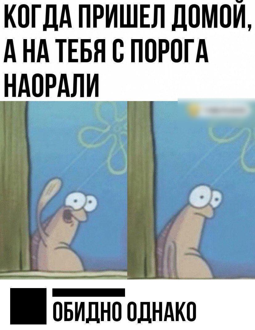КОГДА ПРИШЕЛ ДОМОЙ А НА ТЕБЯ В ПОРОГА НАОРАЛИ Ч овидно одндко